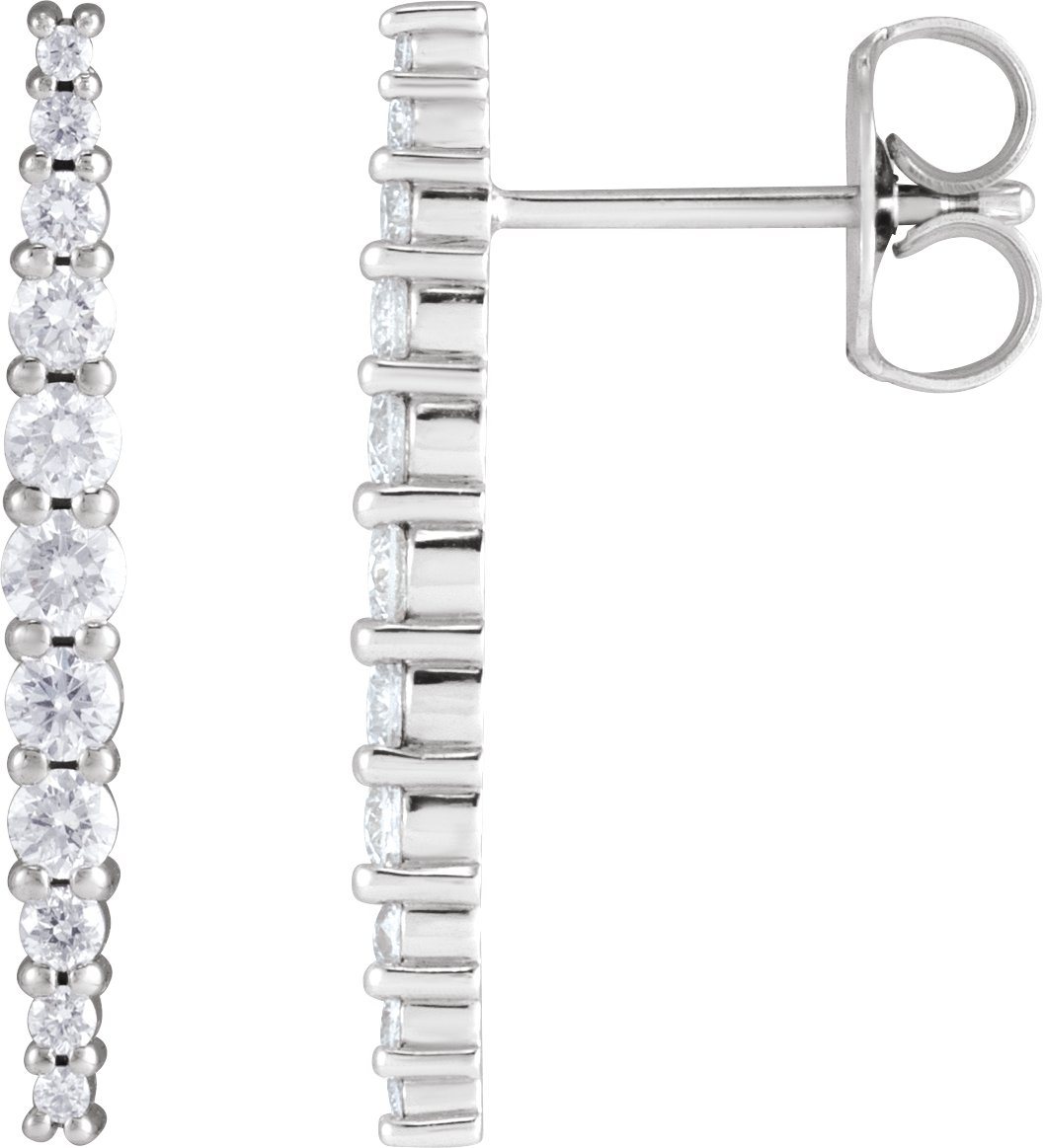 Accented Bar Earrings
