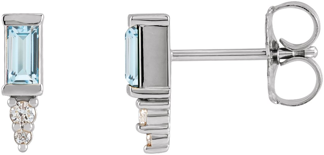 Accented Bar Earrings