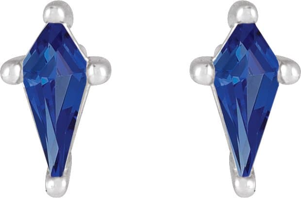 Shield 4-Prong Stud Earrings view 2