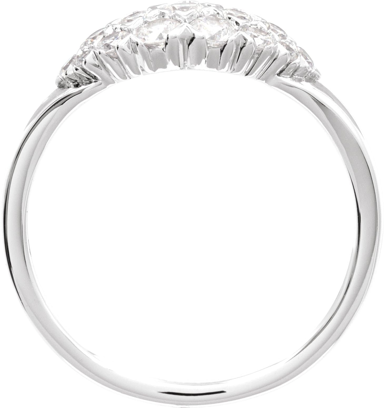 Cluster Ring view 2