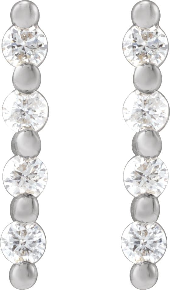Accented Bar Earrings view 2