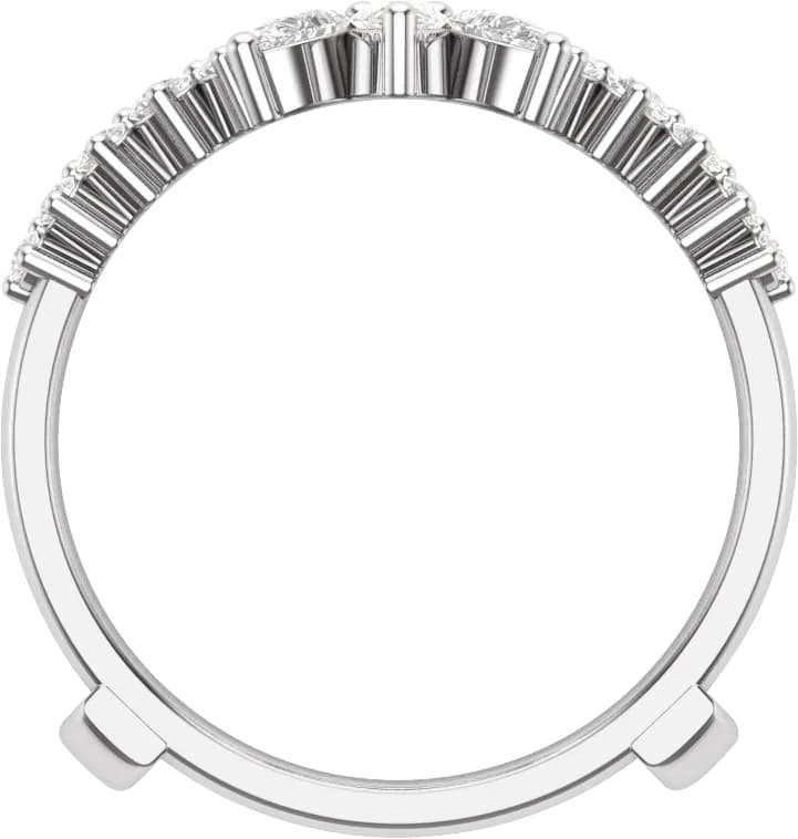 Ring Guard, view 3