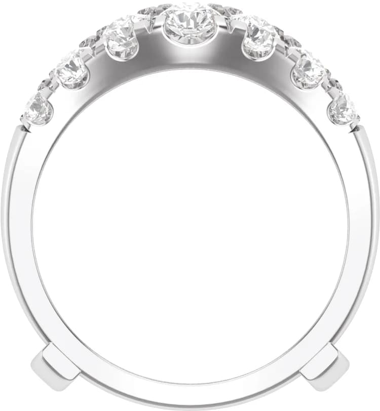 Ring Guard, view 3