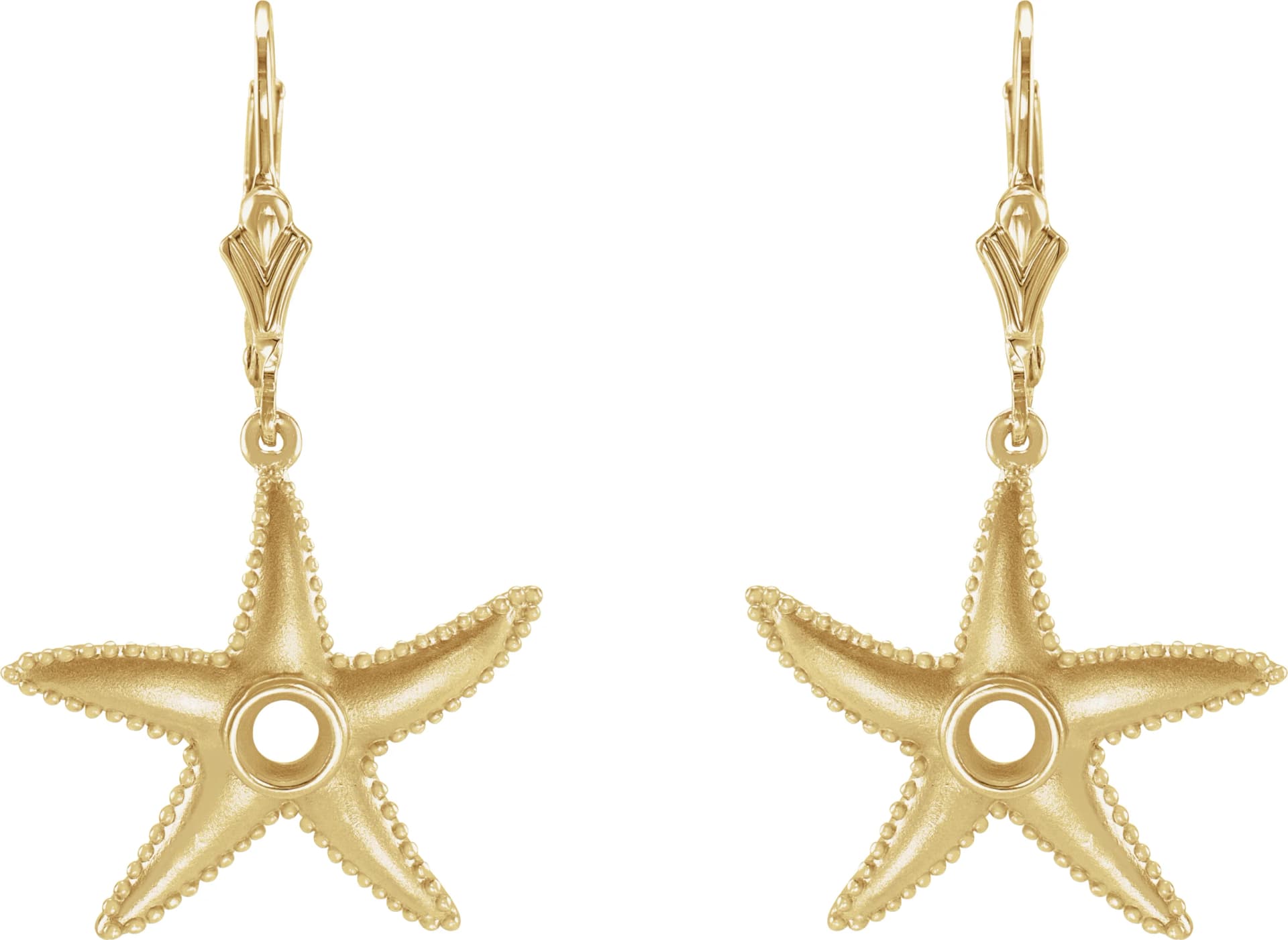 Starfish Earrings, view 3