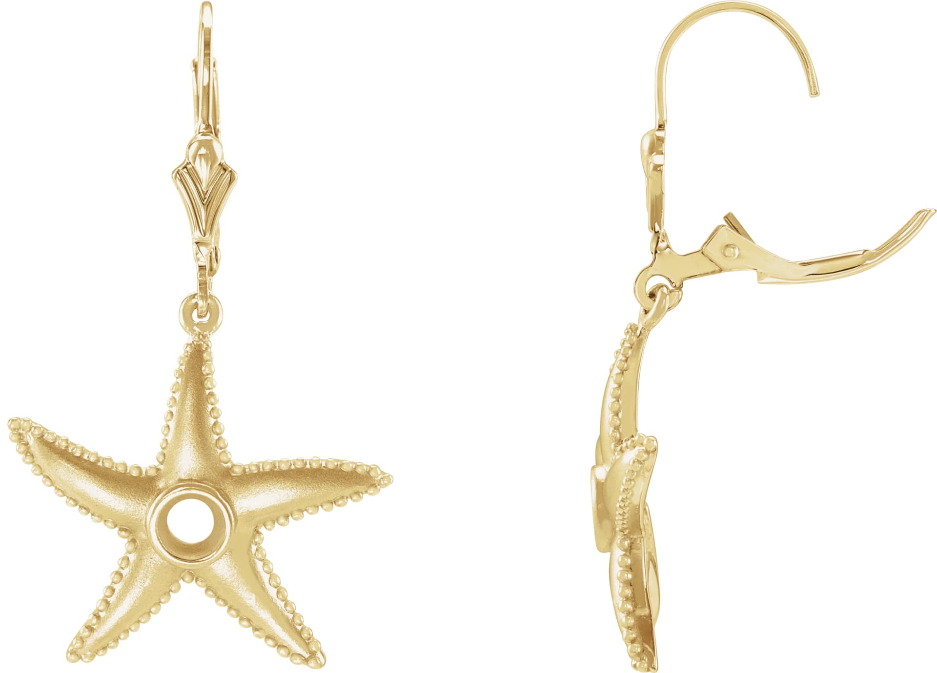 Starfish Earrings, view 4