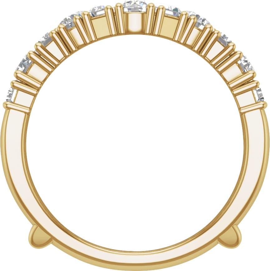 Ring Guard view 2