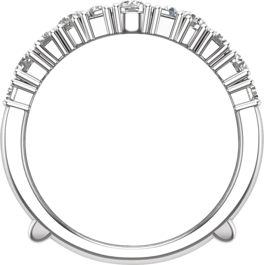 Ring Guard, view 3