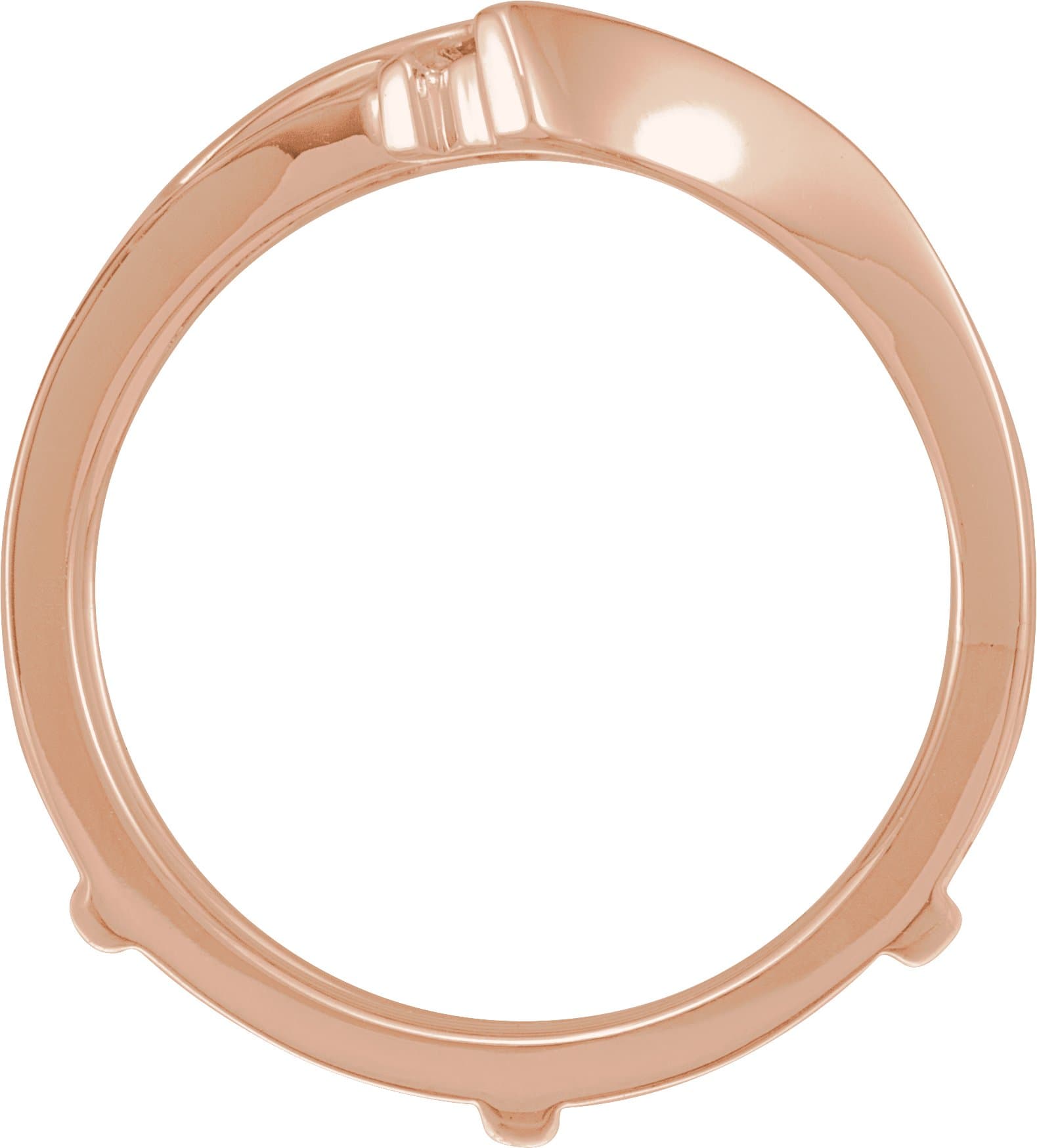 Ring Guard view 2