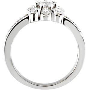 Cluster Ring view 2