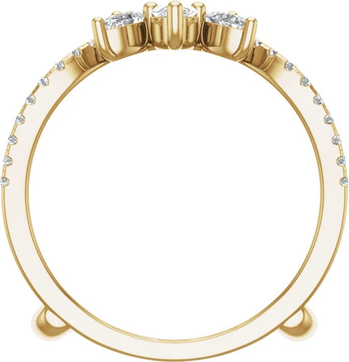 Ring Guard view 2