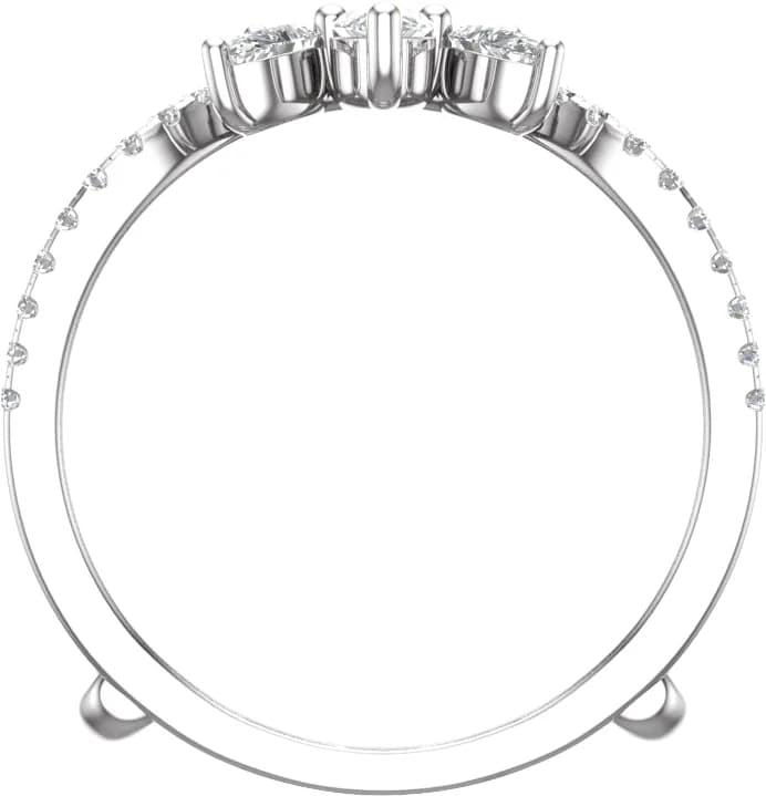 Ring Guard, view 3