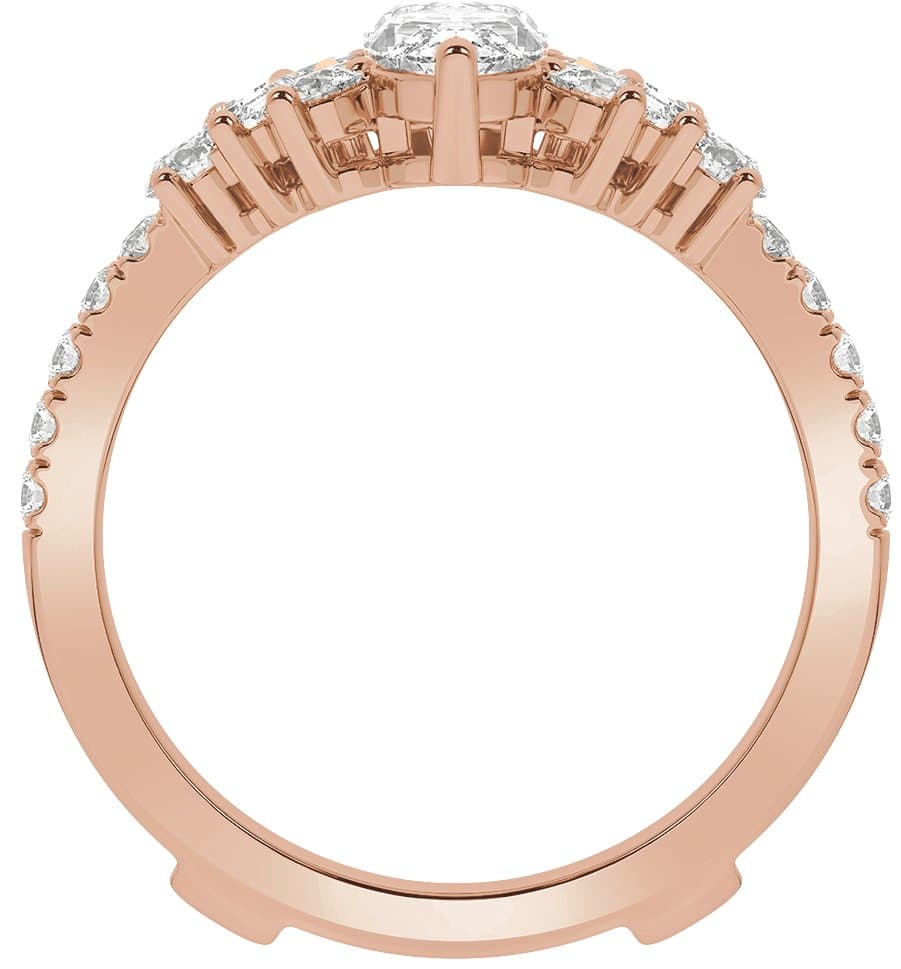 Ring Guard view 2