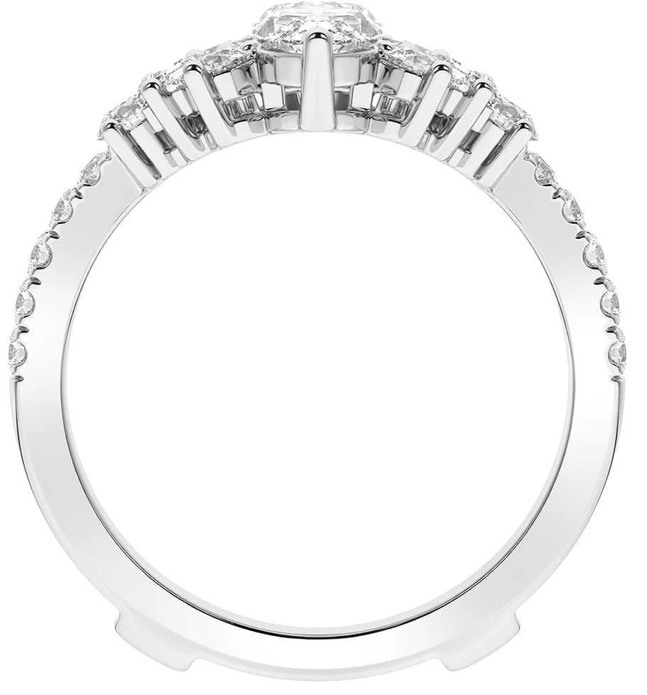 Ring Guard, view 3