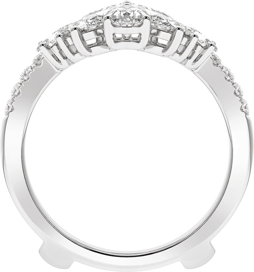 Ring Guard view 2
