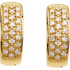 Accented Huggie Earrings view 2