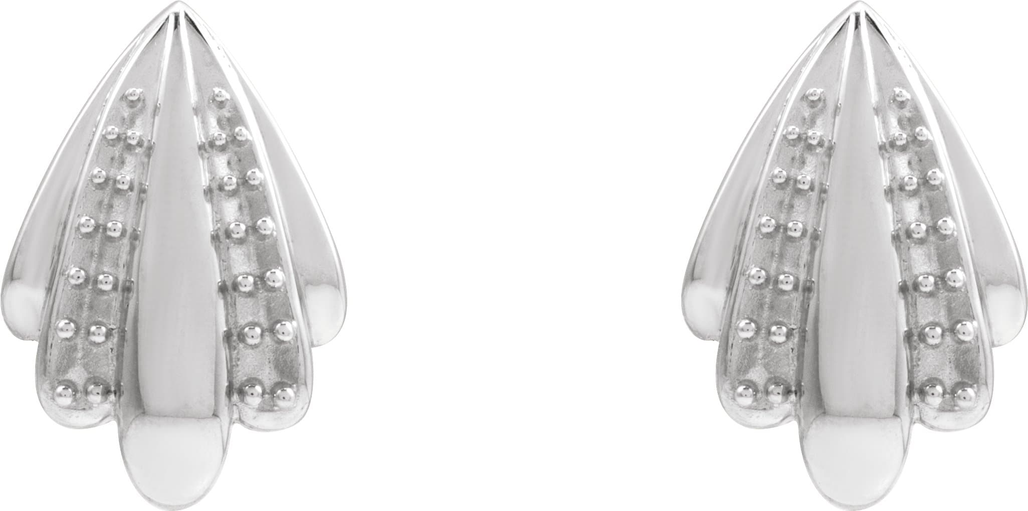 Accented Earrings view 2