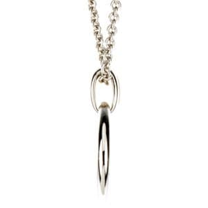 Accented Circle Necklace view 2