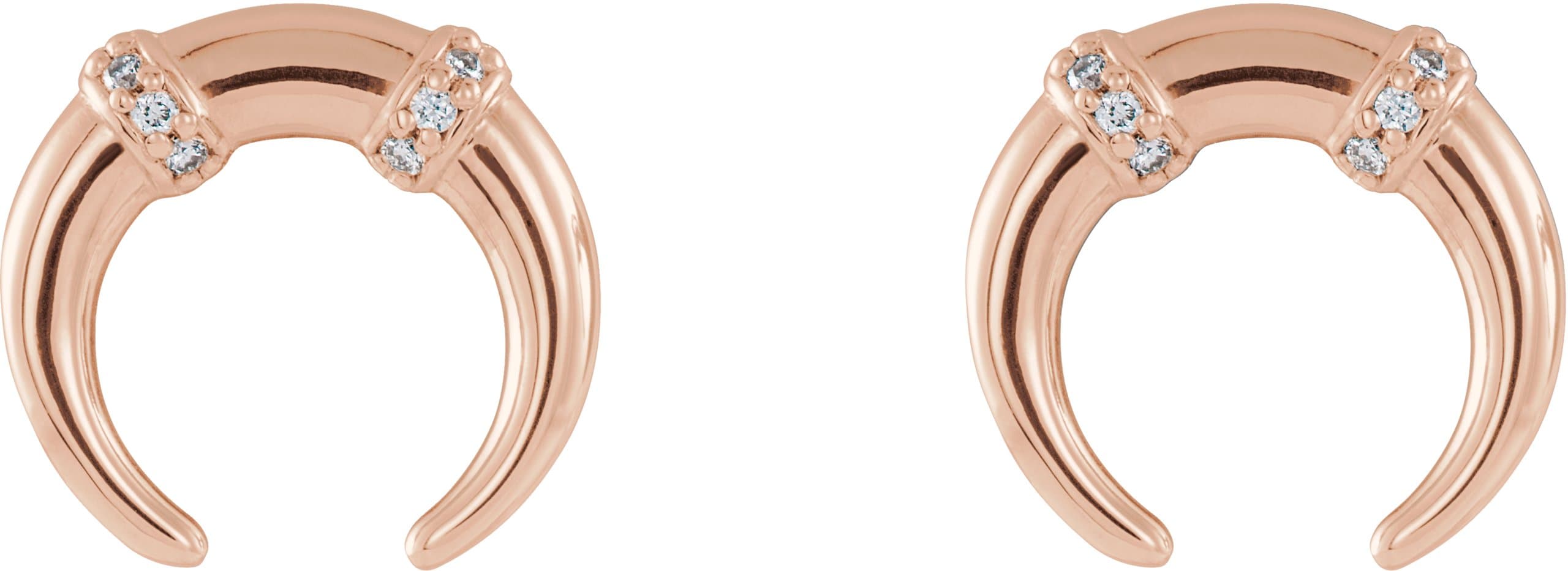 Accented Crescent Earrings view 2