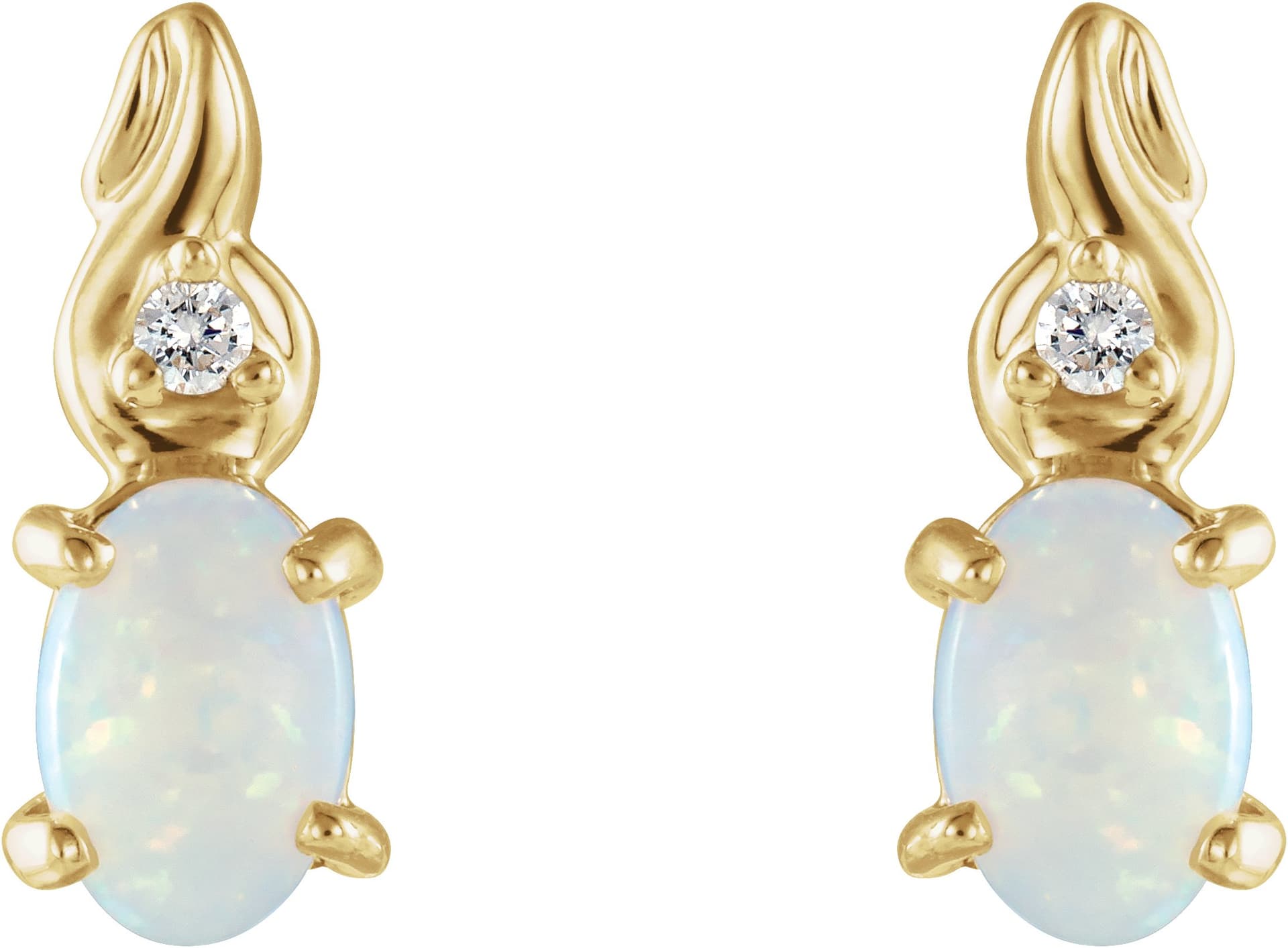 Accented Earrings view 2
