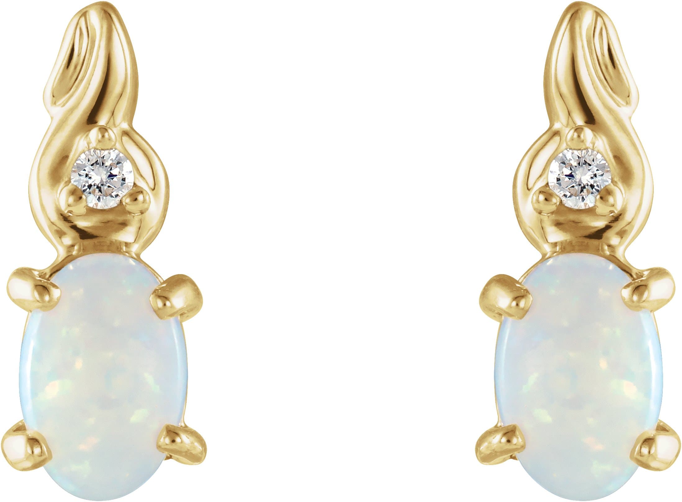 Accented Earrings view 2