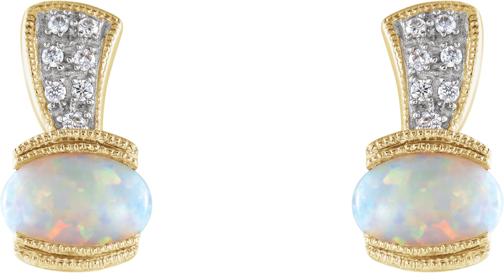 Accented Earrings view 2