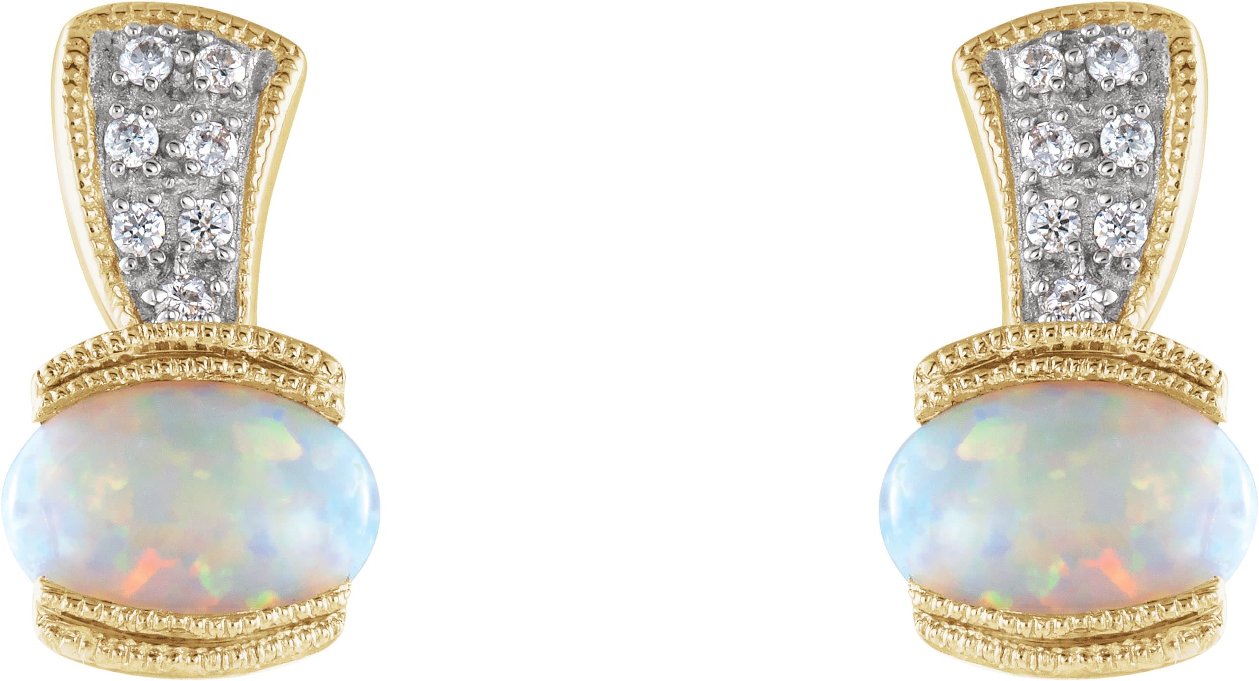 Accented Earrings view 2