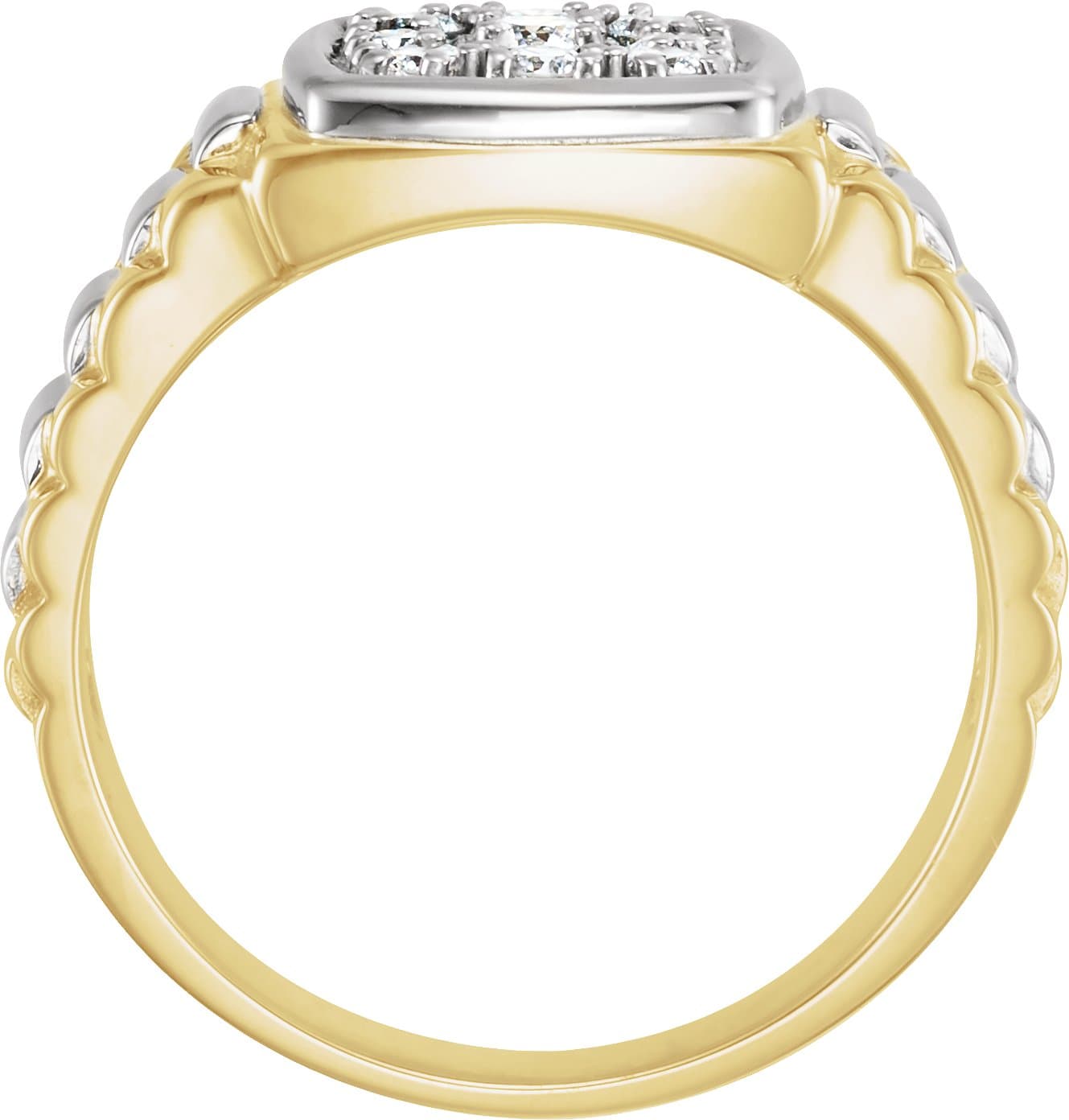 Cluster Ring view 2