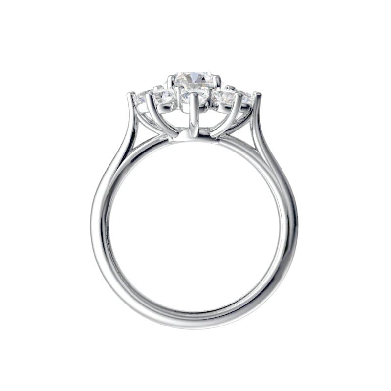 Cluster Ring view 2