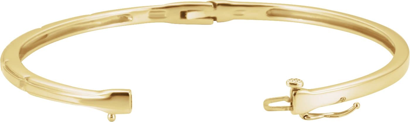 Accented Hinged Bangle Bracelet view 2