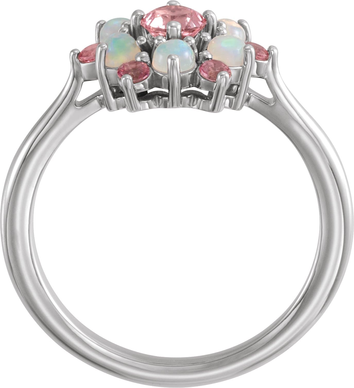 Cluster Ring view 2