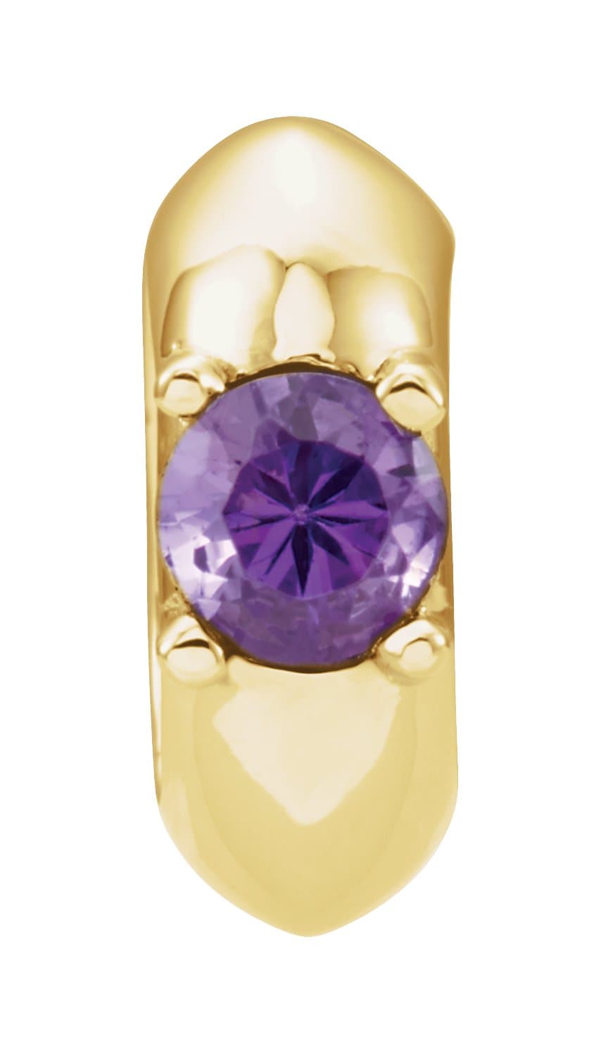 14K Yellow Imitation Amethyst Birth of a Child® February Charm/Pendant