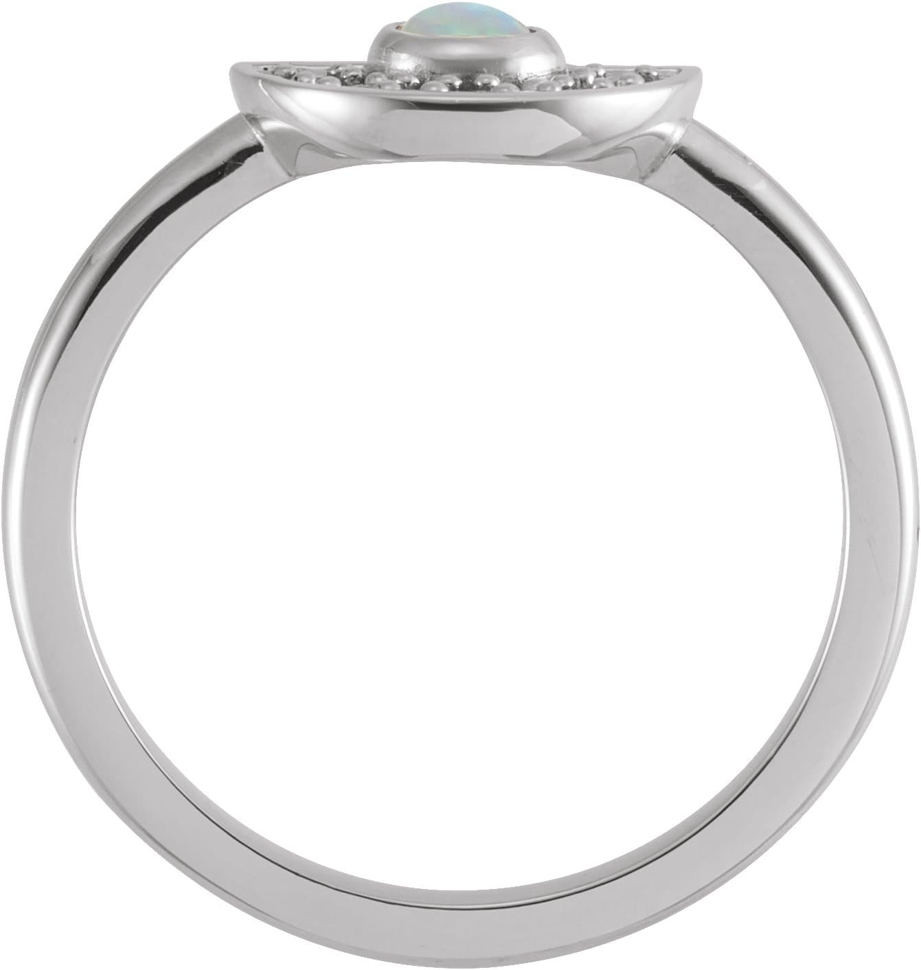 Fan Ring view 2