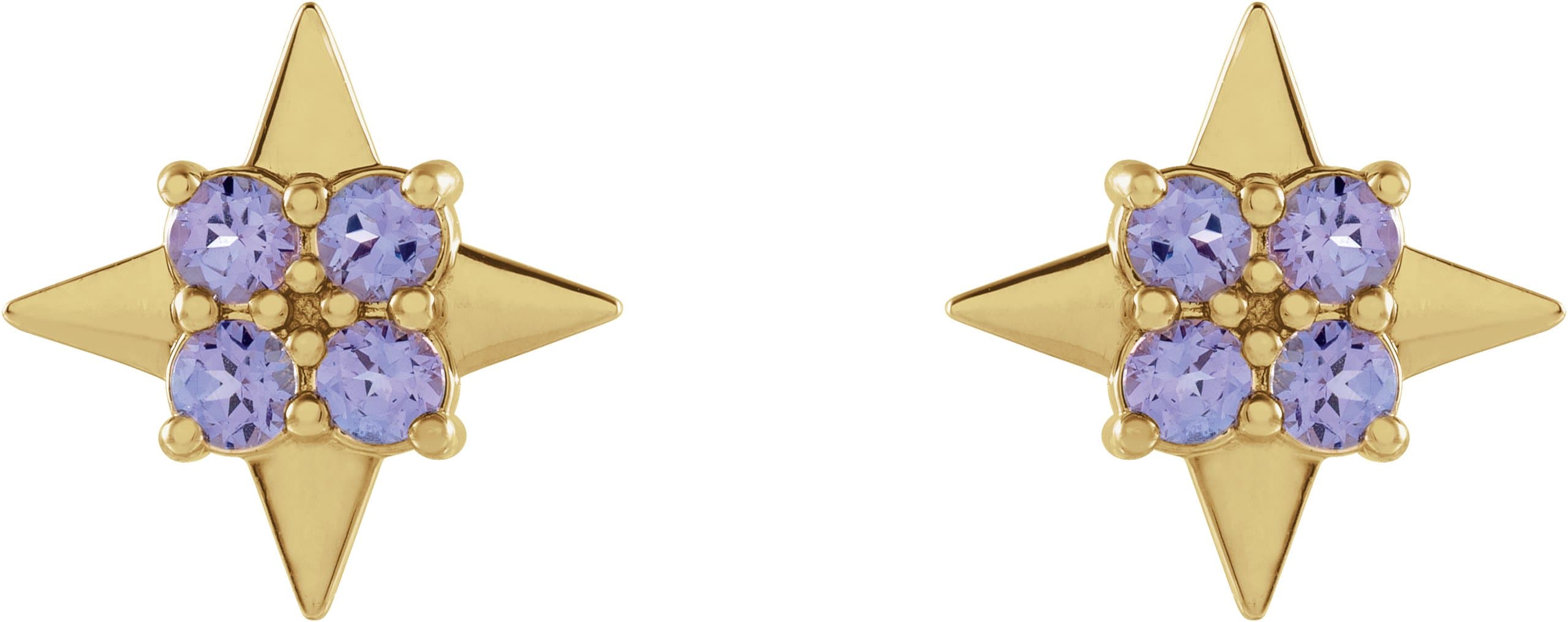 Star Earrings view 2