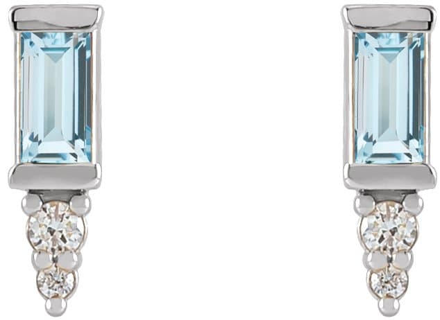Accented Bar Earrings view 2