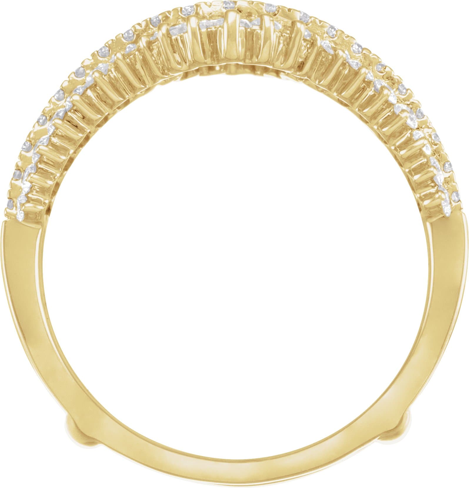 Ring Guard view 2