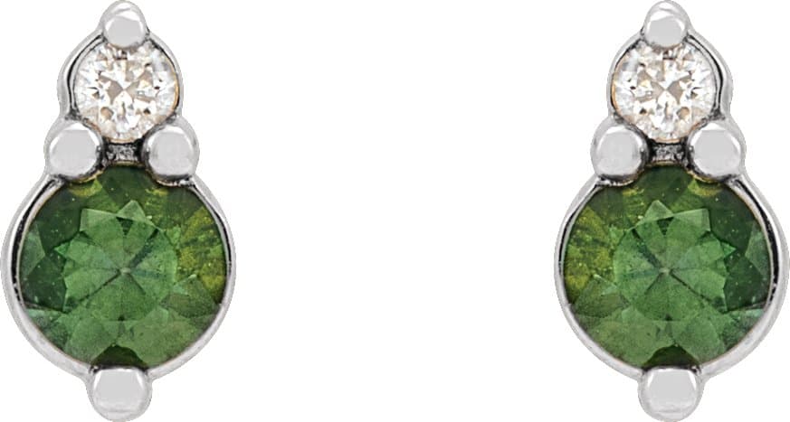 Accented Earrings view 2