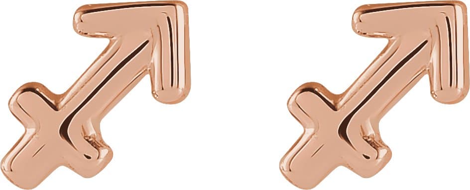Zodiac Earrings view 3