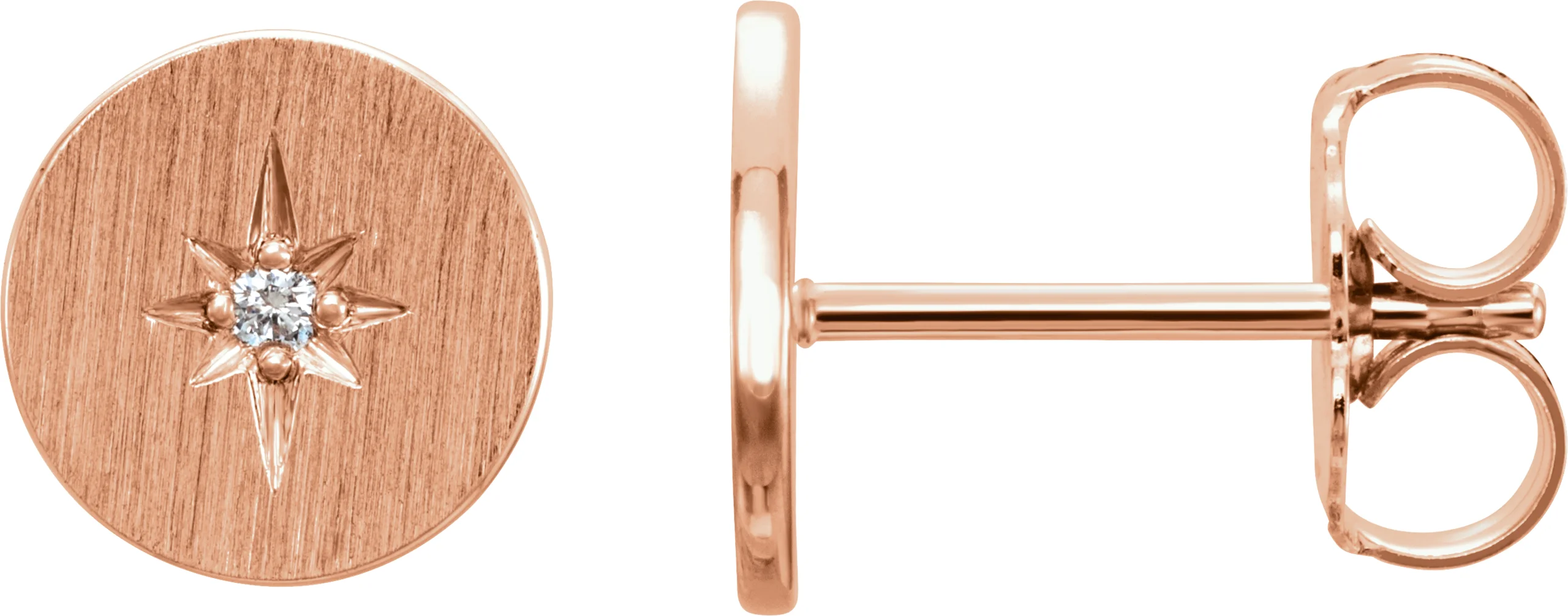 Accented Earrings