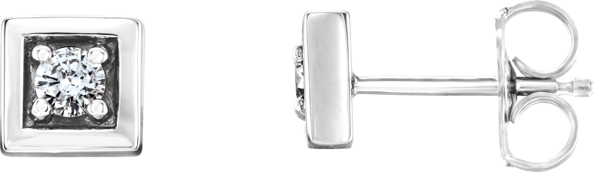Accented Earrings
