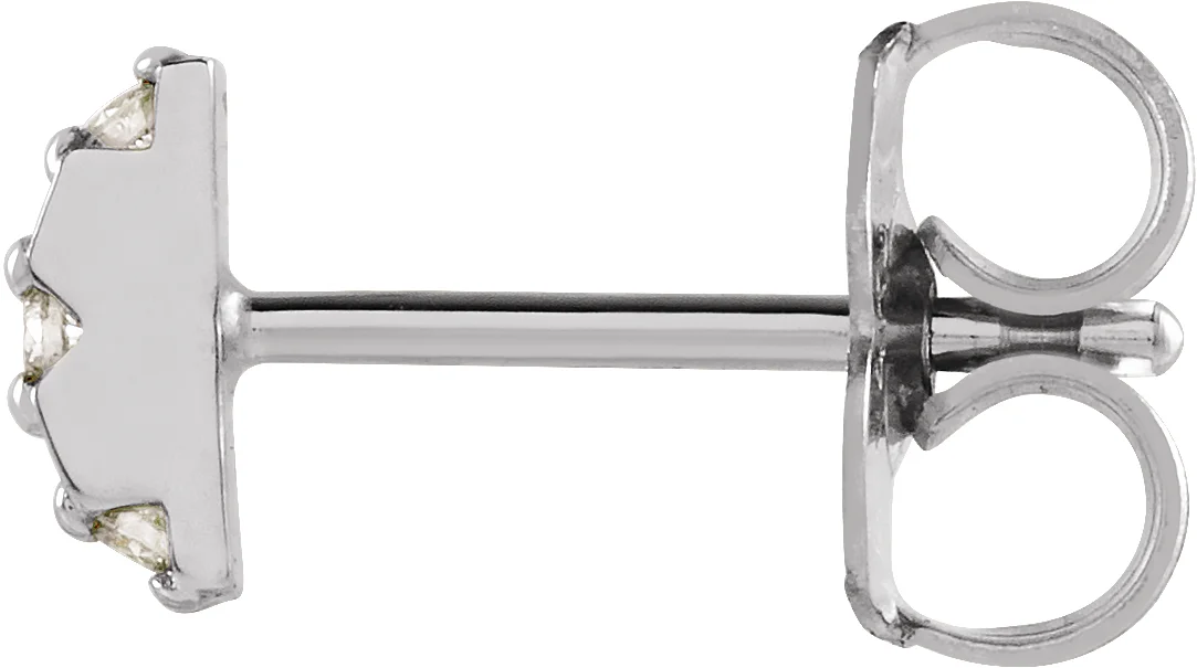 Accented Earrings