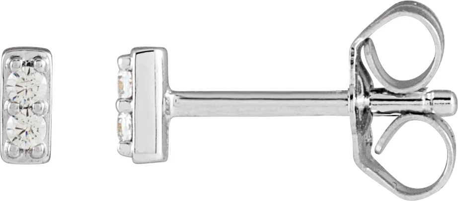 Accented Bar Earrings